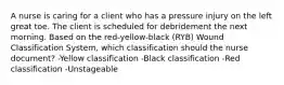 A nurse is caring for a client who has a pressure injury on the left great toe. The client is scheduled for debridement the next morning. Based on the red-yellow-black (RYB) Wound Classification System, which classification should the nurse document? -Yellow classification -Black classification -Red classification -Unstageable