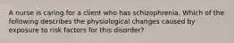 A nurse is caring for a client who has schizophrenia. Which of the following describes the physiological changes caused by exposure to risk factors for this disorder?