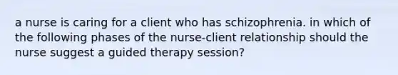 a nurse is caring for a client who has schizophrenia. in which of the following phases of the nurse-client relationship should the nurse suggest a guided therapy session?