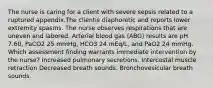 The nurse is caring for a client with severe sepsis related to a ruptured appendix.The clientis diaphoretic and reports lower extremity spasms. The nurse observes respirations that are uneven and labored. Arterial blood gas (ABG) results are pH 7.60, PaCO2 25 mmHg, HCO3 24 mEq/L, and PaO2 24 mmHg. Which assessment finding warrants immediate intervention by the nurse? Increased pulmonary secretions. Intercostal muscle retraction Decreased breath sounds. Bronchovesicular breath sounds.