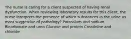 The nurse is caring for a client suspected of having renal dysfunction. When reviewing laboratory results for this client, the nurse interprets the presence of which substances in the urine as most suggestive of pathology? Potassium and sodium Bicarbonate and urea Glucose and protein Creatinine and chloride