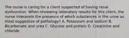 The nurse is caring for a client suspected of having renal dysfunction. When reviewing laboratory results for this client, the nurse interprets the presence of which substances in the urine as most suggestive of pathology? A. Potassium and sodium B. Bicarbonate and urea C. Glucose and protein D. Creatinine and chloride