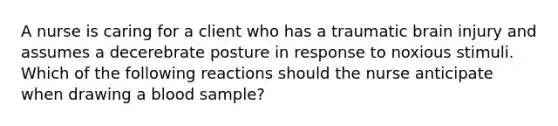 A nurse is caring for a client who has a traumatic brain injury and assumes a decerebrate posture in response to noxious stimuli. Which of the following reactions should the nurse anticipate when drawing a blood sample?