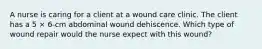 A nurse is caring for a client at a wound care clinic. The client has a 5 × 6-cm abdominal wound dehiscence. Which type of wound repair would the nurse expect with this wound?