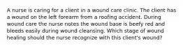 A nurse is caring for a client in a wound care clinic. The client has a wound on the left forearm from a roofing accident. During wound care the nurse notes the wound base is beefy red and bleeds easily during wound cleansing. Which stage of wound healing should the nurse recognize with this client's wound?