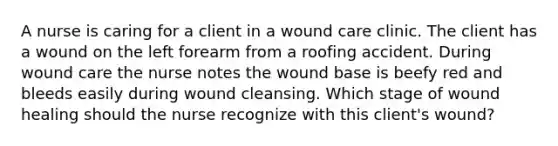 A nurse is caring for a client in a wound care clinic. The client has a wound on the left forearm from a roofing accident. During wound care the nurse notes the wound base is beefy red and bleeds easily during wound cleansing. Which stage of wound healing should the nurse recognize with this client's wound?