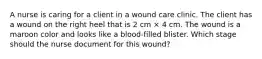 A nurse is caring for a client in a wound care clinic. The client has a wound on the right heel that is 2 cm × 4 cm. The wound is a maroon color and looks like a blood-filled blister. Which stage should the nurse document for this wound?