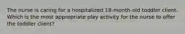 The nurse is caring for a hospitalized 18-month-old toddler client. Which is the most appropriate play activity for the nurse to offer the toddler client?