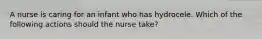 A nurse is caring for an infant who has hydrocele. Which of the following actions should the nurse take?