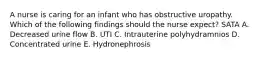 A nurse is caring for an infant who has obstructive uropathy. Which of the following findings should the nurse expect? SATA A. Decreased urine flow B. UTI C. Intrauterine polyhydramnios D. Concentrated urine E. Hydronephrosis