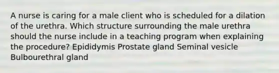 A nurse is caring for a male client who is scheduled for a dilation of the urethra. Which structure surrounding the male urethra should the nurse include in a teaching program when explaining the procedure? Epididymis Prostate gland Seminal vesicle Bulbourethral gland