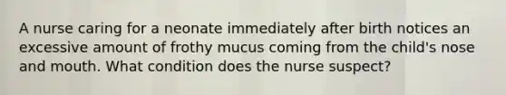 A nurse caring for a neonate immediately after birth notices an excessive amount of frothy mucus coming from the child's nose and mouth. What condition does the nurse suspect?