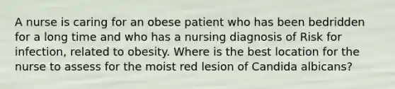 A nurse is caring for an obese patient who has been bedridden for a long time and who has a nursing diagnosis of Risk for infection, related to obesity. Where is the best location for the nurse to assess for the moist red lesion of Candida albicans?