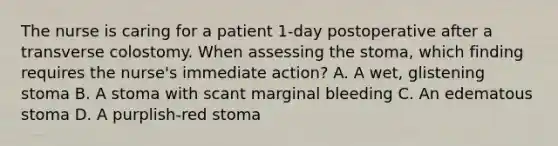 The nurse is caring for a patient 1-day postoperative after a transverse colostomy. When assessing the stoma, which finding requires the nurse's immediate action? A. A wet, glistening stoma B. A stoma with scant marginal bleeding C. An edematous stoma D. A purplish-red stoma