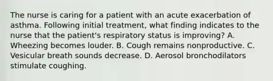 The nurse is caring for a patient with an acute exacerbation of asthma. Following initial treatment, what finding indicates to the nurse that the patient's respiratory status is improving? A. Wheezing becomes louder. B. Cough remains nonproductive. C. Vesicular breath sounds decrease. D. Aerosol bronchodilators stimulate coughing.