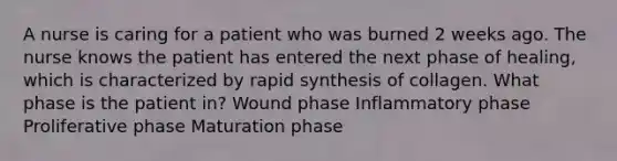 A nurse is caring for a patient who was burned 2 weeks ago. The nurse knows the patient has entered the next phase of healing, which is characterized by rapid synthesis of collagen. What phase is the patient in? Wound phase Inflammatory phase Proliferative phase Maturation phase