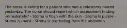 The nurse is caring for a patient who had a colostomy placed yesterday. The nurse should report which assessment finding immediately? - Stoma is flush with the skin - Stoma is purple - Stoma is moist - Stoma is protruding from the abdomen
