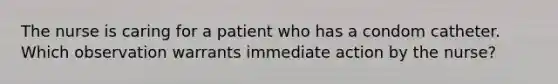 The nurse is caring for a patient who has a condom catheter. Which observation warrants immediate action by the nurse?