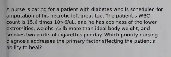 A nurse is caring for a patient with diabetes who is scheduled for amputation of his necrotic left great toe. The patient's WBC count is 15.0 times 10>6/uL, and he has coolness of the lower extremities, weighs 75 lb more than ideal body weight, and smokes two packs of cigarettes per day. Which priority nursing diagnosis addresses the primary factor affecting the patient's ability to heal?