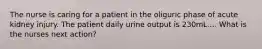 The nurse is caring for a patient in the oliguric phase of acute kidney injury. The patient daily urine output is 230mL.... What is the nurses next action?