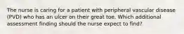 The nurse is caring for a patient with peripheral vascular disease (PVD) who has an ulcer on their great toe. Which additional assessment finding should the nurse expect to find?