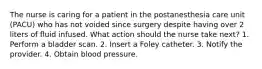 The nurse is caring for a patient in the postanesthesia care unit (PACU) who has not voided since surgery despite having over 2 liters of fluid infused. What action should the nurse take next? 1. Perform a bladder scan. 2. Insert a Foley catheter. 3. Notify the provider. 4. Obtain blood pressure.