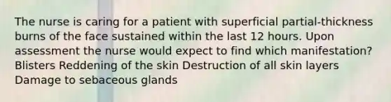 The nurse is caring for a patient with superficial partial-thickness burns of the face sustained within the last 12 hours. Upon assessment the nurse would expect to find which manifestation? Blisters Reddening of the skin Destruction of all skin layers Damage to sebaceous glands