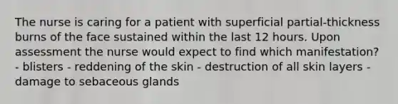 The nurse is caring for a patient with superficial partial-thickness burns of the face sustained within the last 12 hours. Upon assessment the nurse would expect to find which manifestation? - blisters - reddening of the skin - destruction of all skin layers - damage to sebaceous glands