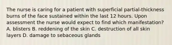 The nurse is caring for a patient with superficial partial-thickness burns of the face sustained within the last 12 hours. Upon assessment the nurse would expect to find which manifestation? A. blisters B. reddening of the skin C. destruction of all skin layers D. damage to sebaceous glands