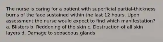 The nurse is caring for a patient with superficial partial-thickness burns of the face sustained within the last 12 hours. Upon assessment the nurse would expect to find which manifestation? a. Blisters b. Reddening of the skin c. Destruction of all skin layers d. Damage to sebaceous glands