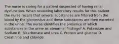 The nurse is caring for a patient suspected of having renal dysfunction. When reviewing laboratory results for this patient the nurse recalls that several substances are filtered from the blood by the glomerulus and these substances are then excreted in the urine. The nurse identifies the presence of which substances in the urine as abnormal findings? A. Potassium and Sodium B. Bicarbonate and urea C. Protein and glucose D. Creatinine and chloride