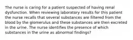 The nurse is caring for a patient suspected of having renal dysfunction. When reviewing laboratory results for this patient the nurse recalls that several substances are filtered from the blood by the glomerulus and these substances are then excreted in the urine. The nurse identifies the presence of which substances in the urine as abnormal findings?