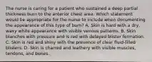 The nurse is caring for a patient who sustained a deep partial thickness burn to the anterior chest area. Which statement would be appropriate for the nurse to include when documenting the appearance of this type of burn? A. Skin is hard with a dry, waxy white appearance with visible venous patterns. B. Skin blanches with pressure and is red with delayed blister formation. C. Skin is red and shiny with the presence of clear fluid-filled blisters. D. Skin is charred and leathery with visible muscles, tendons, and bones.