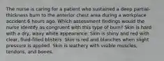 The nurse is caring for a patient who sustained a deep partial-thickness burn to the anterior chest area during a workplace accident 6 hours ago. Which assessment findings would the nurse identify as congruent with this type of burn? Skin is hard with a dry, waxy white appearance. Skin is shiny and red with clear, fluid-filled blisters. Skin is red and blanches when slight pressure is applied. Skin is leathery with visible muscles, tendons, and bones.