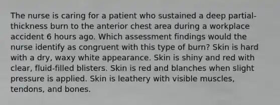 The nurse is caring for a patient who sustained a deep partial-thickness burn to the anterior chest area during a workplace accident 6 hours ago. Which assessment findings would the nurse identify as congruent with this type of burn? Skin is hard with a dry, waxy white appearance. Skin is shiny and red with clear, fluid-filled blisters. Skin is red and blanches when slight pressure is applied. Skin is leathery with visible muscles, tendons, and bones.