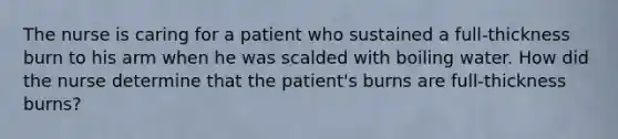 The nurse is caring for a patient who sustained a full-thickness burn to his arm when he was scalded with boiling water. How did the nurse determine that the patient's burns are full-thickness burns?