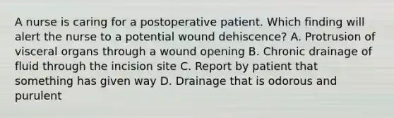 A nurse is caring for a postoperative patient. Which finding will alert the nurse to a potential wound dehiscence? A. Protrusion of visceral organs through a wound opening B. Chronic drainage of fluid through the incision site C. Report by patient that something has given way D. Drainage that is odorous and purulent