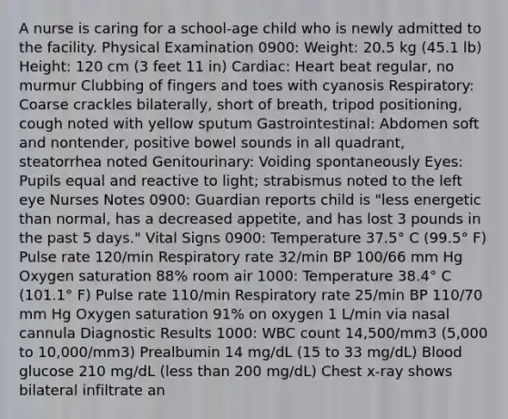 A nurse is caring for a school-age child who is newly admitted to the facility. Physical Examination 0900: Weight: 20.5 kg (45.1 lb) Height: 120 cm (3 feet 11 in) Cardiac: Heart beat regular, no murmur Clubbing of fingers and toes with cyanosis Respiratory: Coarse crackles bilaterally, short of breath, tripod positioning, cough noted with yellow sputum Gastrointestinal: Abdomen soft and nontender, positive bowel sounds in all quadrant, steatorrhea noted Genitourinary: Voiding spontaneously Eyes: Pupils equal and reactive to light; strabismus noted to the left eye Nurses Notes 0900: Guardian reports child is "less energetic than normal, has a decreased appetite, and has lost 3 pounds in the past 5 days." Vital Signs 0900: Temperature 37.5° C (99.5° F) Pulse rate 120/min Respiratory rate 32/min BP 100/66 mm Hg Oxygen saturation 88% room air 1000: Temperature 38.4° C (101.1° F) Pulse rate 110/min Respiratory rate 25/min BP 110/70 mm Hg Oxygen saturation 91% on oxygen 1 L/min via nasal cannula Diagnostic Results 1000: WBC count 14,500/mm3 (5,000 to 10,000/mm3) Prealbumin 14 mg/dL (15 to 33 mg/dL) Blood glucose 210 mg/dL (less than 200 mg/dL) Chest x-ray shows bilateral infiltrate an