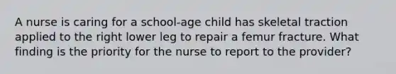 A nurse is caring for a school-age child has skeletal traction applied to the right lower leg to repair a femur fracture. What finding is the priority for the nurse to report to the provider?