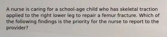 A nurse is caring for a school-age child who has skeletal traction applied to the right lower leg to repair a femur fracture. Which of the following findings is the priority for the nurse to report to the provider?