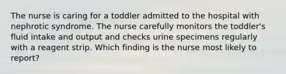 The nurse is caring for a toddler admitted to the hospital with nephrotic syndrome. The nurse carefully monitors the toddler's fluid intake and output and checks urine specimens regularly with a reagent strip. Which finding is the nurse most likely to report?