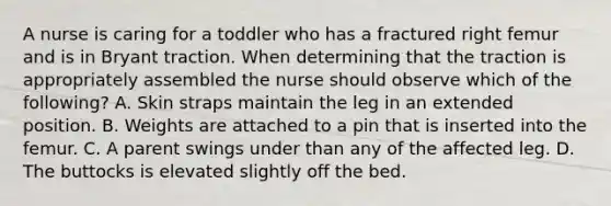 A nurse is caring for a toddler who has a fractured right femur and is in Bryant traction. When determining that the traction is appropriately assembled the nurse should observe which of the following? A. Skin straps maintain the leg in an extended position. B. Weights are attached to a pin that is inserted into the femur. C. A parent swings under than any of the affected leg. D. The buttocks is elevated slightly off the bed.