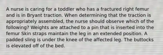 A nurse is caring for a toddler who has a fractured right femur and is in Bryant traction. When determining that the traction is appropriately assembled, the nurse should observe which of the following? Weights are attached to a pin that is inserted into the femur Skin straps maintain the leg in an extended position. A padded sling is under the knee of the affected leg. The buttocks is elevated off of the bed.