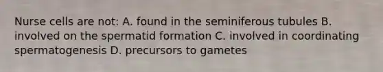 Nurse cells are not: A. found in the seminiferous tubules B. involved on the spermatid formation C. involved in coordinating spermatogenesis D. precursors to gametes