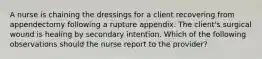 A nurse is chaining the dressings for a client recovering from appendectomy following a rupture appendix. The client's surgical wound is healing by secondary intention. Which of the following observations should the nurse report to the provider?