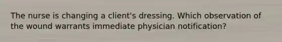 The nurse is changing a client's dressing. Which observation of the wound warrants immediate physician notification?