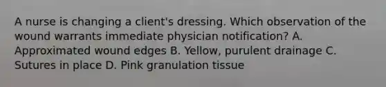 A nurse is changing a client's dressing. Which observation of the wound warrants immediate physician notification? A. Approximated wound edges B. Yellow, purulent drainage C. Sutures in place D. Pink granulation tissue