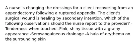 A nurse is changing the dressings for a client recovering from an appendectomy following a ruptured appendix. The client's surgical wound is healing by secondary intention. Which of the following observations should the nurse report to the provider? -Tenderness when touched -Pink, shiny tissue with a grainy appearance -Serosanguineous drainage -A halo of erythema on the surrounding skin