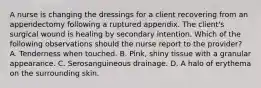 A nurse is changing the dressings for a client recovering from an appendectomy following a ruptured appendix. The client's surgical wound is healing by secondary intention. Which of the following observations should the nurse report to the provider? A. Tenderness when touched. B. Pink, shiny tissue with a granular appearance. C. Serosanguineous drainage. D. A halo of erythema on the surrounding skin.