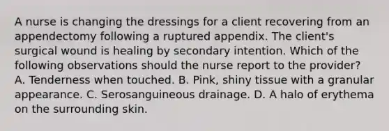 A nurse is changing the dressings for a client recovering from an appendectomy following a ruptured appendix. The client's surgical wound is healing by secondary intention. Which of the following observations should the nurse report to the provider? A. Tenderness when touched. B. Pink, shiny tissue with a granular appearance. C. Serosanguineous drainage. D. A halo of erythema on the surrounding skin.